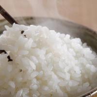 Yummy White Rice 小熊米饭 · 