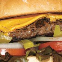 Cheese Burger  · Seasoned beef patty, American cheese, lettuce, tomatoes, onions, pickles.