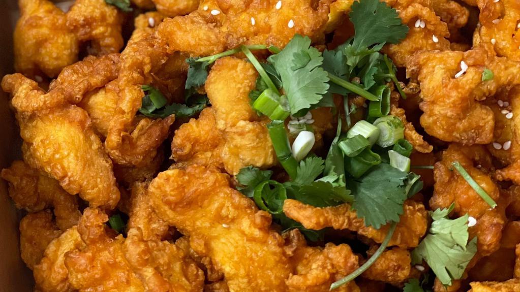 Orange Chicken · Fried chicken breaded in flour and topped with green onions, sesame seed, and orange sauce.