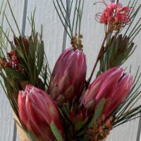 The Pheonix Of Flowers Bouquet · Have a  fresh picked Protea bouquet delivered to your door. This sweet little bouquet is the...