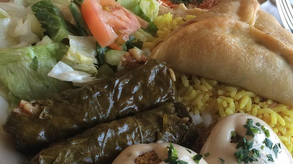 Vegetarian Plate Lunch · Falafel, grape leaves and hummus. Served with rice and salad.