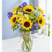 Fields Of Europe Summer · Inspired by the colorful charm of the European countryside, our best-selling summer bouquet ...