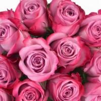 Dozen Purple Roses · Purple long-stem Ecuadorian roses