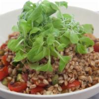 Farro Salad · Italian grain, cucumber, cherry tomatoes, red onion