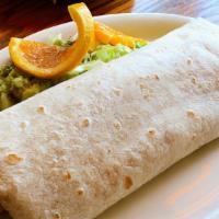 Fiesta Burrito · Choice of grilled chicken, steak or carnitas with rice fresco beans and pico de gallo.