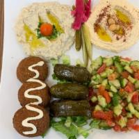 Veggie Plate · The Veggie plate comes with baba ghanoush, hummus, salad, pita bread, 3 grape leaves, and 3 ...