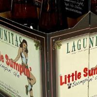 Lagunitas Little Sumpin' Ale 6 Pack · Lagunitas Little Sumpin' Ale 6 Pack - Sneaky Smooth with a Touch of What We Call Wheatly-esq...