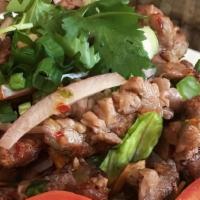 Spicy Beef Or Chicken Salad · Choice of grilled beef or chicken, scallions, red onions, cilantro, spices and lime juice, o...