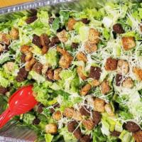Caesar Salad · Romaine lettuce, croutons and shredded Parmesan with choice of one dressing.