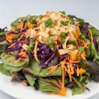 Asian Salad · Spring mix salad, red cabbage, carrots, green onion, wonton strips, sesame seeds, and sesame...