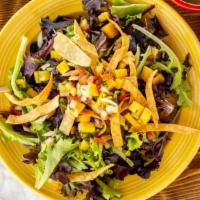 Mixed Green Salad · Served with a mango fruit relish, tortilla strips & raspberry vinaigrette