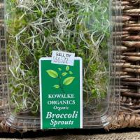 Broccoli Sprouts · 2oz
Broccoli sprouts are immature broccoli, rich in a range of nutrients, including vitamin ...