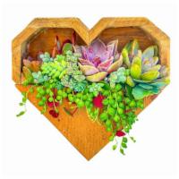 Hanging Heart Succulent Planter Diy Kit · Hanging Heart Succulent Planter DIY Kit

*This product is a DIY kit, meaning that it will no...