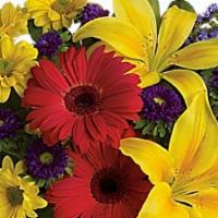 Teleflora'S Summer Daydream Bouquet · Send them on a summer daydream with this sensationally sunny bouquet! These vivid blooms are...