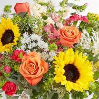 Sunshine Splendor™ Bouquet By Southern Living · All-around arrangement with orange roses, sunflowers, pink snapdragons, hot pink mini carnat...