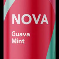 Nova Kombucha Guava Mint · 16oz Can