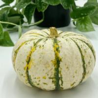 Mini Tiger Pumpkin  · Small decorative pumpkin. White with green and orange stripes.
