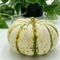 Mini Tiger Pumpkin · Small decorative pumpkin. White with green and orange stripes.