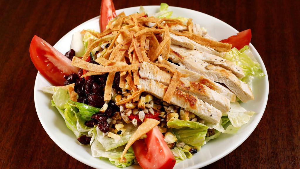 Grilled Vegetable Chicken Salad · Romaine, grilled chicken, grilled corn, zucchini, red bell pepper, tomato, sunflower seeds dried cranberries and tortilla strips with lemon-cilantro dressing.