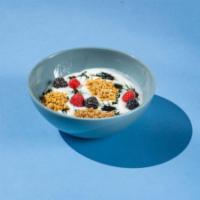 The Parfait Bowl · Vanilla yogurt, granola, mascerated berries, chlorophyll, fresh berries