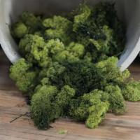 Reindeer Moss · Naturally Green preserved Forest Green Reindeer Moss for all your whimsical forest needs.

C...