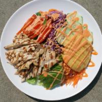 Mango & Avocado With Chicken Breast · Contains Lettuce, Carrots, Red Cabbage, Cucumber, Tomato, Avocado, Mango and Chicken Breast.