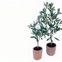 Faux Olive Tree In Clay Pot - Short Or Tall · Faux Olive Tree in Clay Pot

Approximate Height:
Short: 20.5
