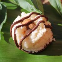 Coconut Joy · coconut, coconut butter, coconut oil, maple, chocolate, vanilla, almond, sea salt

GF - V - P