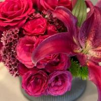 Pink Star Lover  · Stargazers, Pink Floyd roses, green moms, and planter