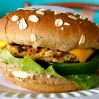 Veggie Burger · Garden burgers are the original veggie burgers and still the best! Made with our secret sauc...