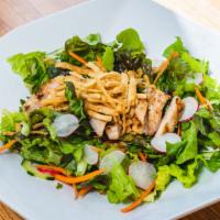 Oriental Chicken Salad · Lettuce, radish, cucumber, carrots with house sesame dressing grilled chicken and wonton str...