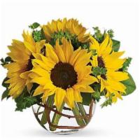 Sunny Sunflowers · Sunflowers steal the show in this simple arrangement. Also featured: green bupleurum, salal ...