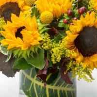 Sunny Sunflowers By Bloomnation™ · The sun is pretty great, but sunflowers are the greatest. Let’s prove it. The sun keeps us w...