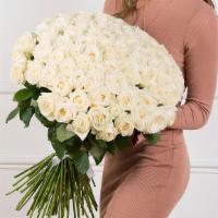 Deluxe White  Roses  Bouquet (101 Pcs) · Bouquet of 101  Premium White  Roses 

This bouquet includes: 101  Fresh  Premium White  Ros...