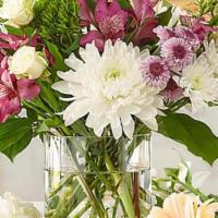 Dreamy Pastels Florist Original · For a softer, elegant combination, look no further than the Dreamy Pastels Florist Original ...
