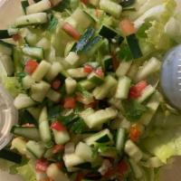Large House Salad · Lettuce and veggies  (tomatoes, cucumber & celery), side tzatziki and chutney sauce