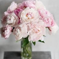Peony Amor · Guys...you can't go wrong with this one. A bunch of pink peonies with greens. Simple perfect...