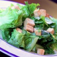 Cesar Salad · lettuce, croutons, parmesan cheese and salad dressing