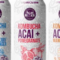 Acai Roots Kombucha Blueberry Ginger 16Oz · Organic & Raw - Your taste buds will love this!