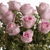 One Dozen Pink Roses  · One dozen pink roses that will win a heart! Nothing is better than flowers