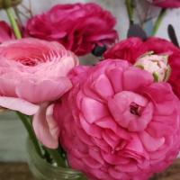Seasonal Pink Floral Bouquet · All our flowers are grown on our farm, this seasonal bouquet consists of pink ranunculus, eu...