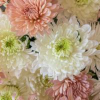 Just Because  · Whether its for you or someone else we will put together an arrangement you'll love. Includi...
