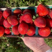 Strawberries · 3 baskets of delicious strawberries