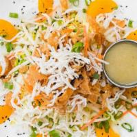 Asian Chicken Salad · Grilled chicken breast, shredded green cabbage, carrots, bean sprouts, scallions, oranges, r...