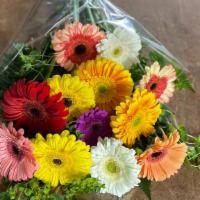 Daisy Day · 12 Colorful Gerbera daises with greenery wrapped in plastic with a bow.