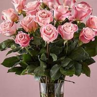 24 Long Stem Pink Roses · Enjoy the classic beauty of the rose with a playful twist in our Long Stem Pink Rose Bouquet...