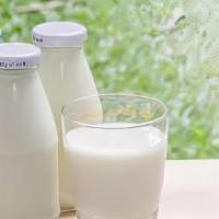Whole Milk · Dairy Pure “Whole Milk” 14 fl oz bottle