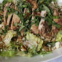 Char Broiled Chicken Salad · Romaine lettuce, gorgonzola cheese, walnuts, marinated grilled chicken breast, Basil with ho...
