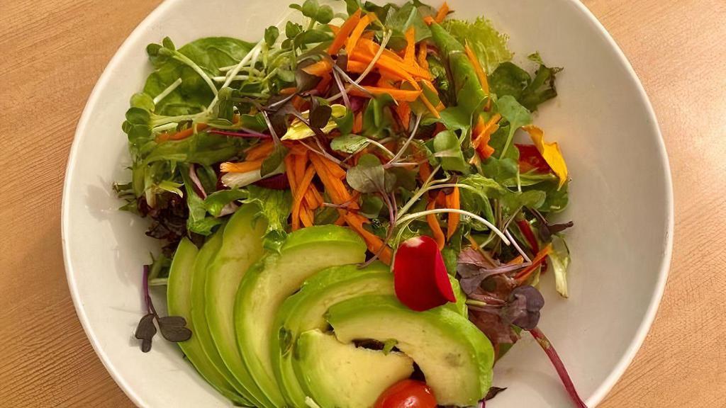 Spring Salad · Organic greens, tomatoes, avocado, cucumber, carrots, and apple-ginger dressing