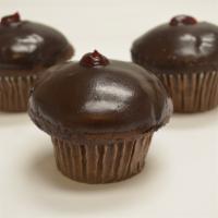Raspberry Reward · Chocolate cake with a raspberry filling dipped in chocolate fudge.